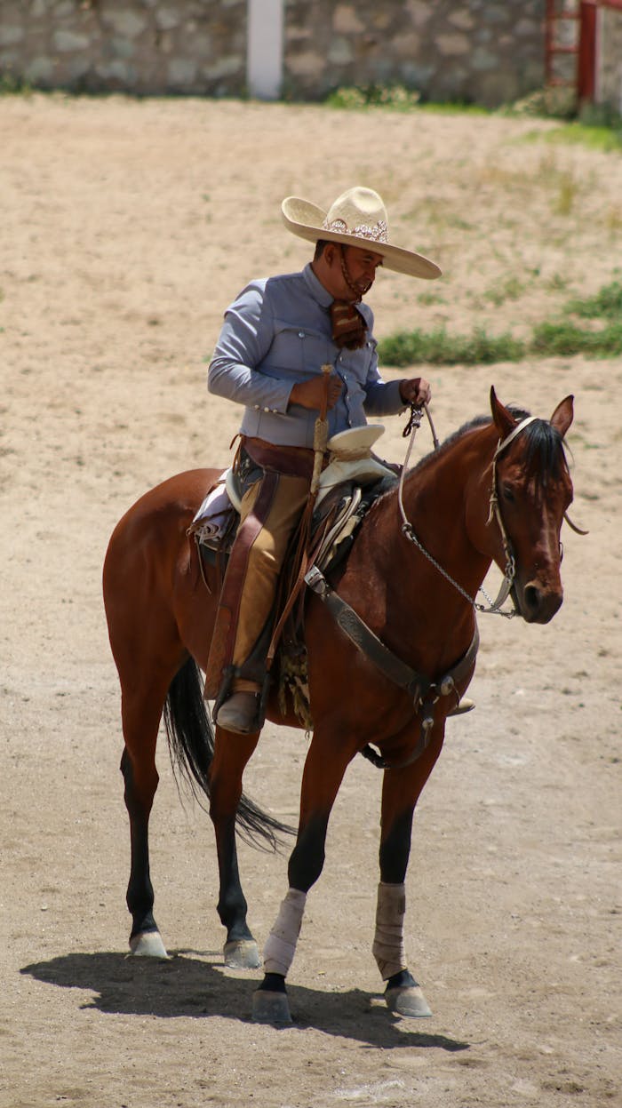 services-04 Cowboy on horseback in an outdoor arena, wearing traditional attire, holding reins.